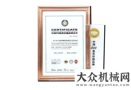 领域的变革500强最具价值品牌发布 雷沃品牌价值达215.58亿元梁稳根