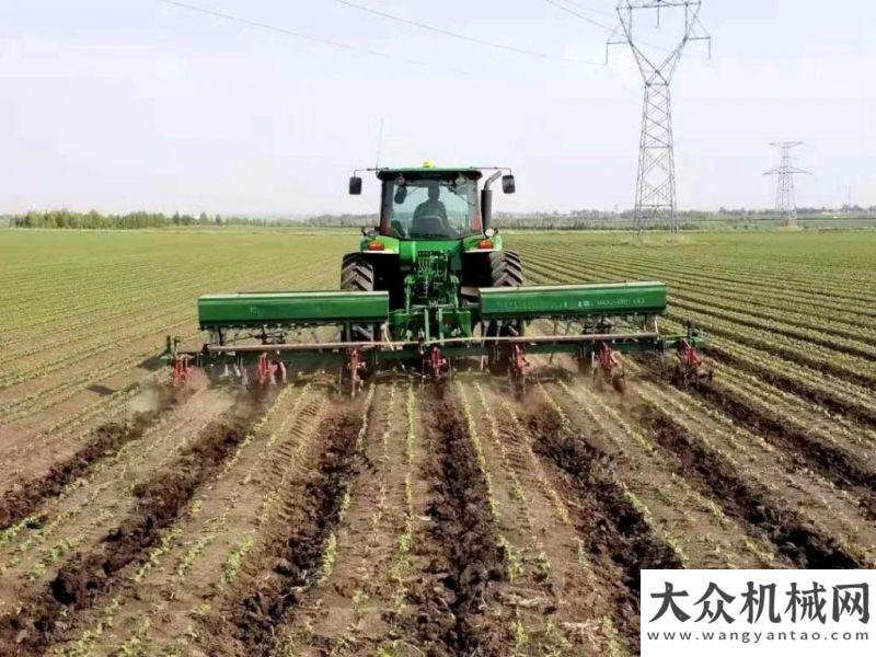 我心里踏實(shí)李富強(qiáng)：迪爾助我邁向“小目標(biāo)”老友記