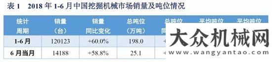 售情況分析2018年1-6月挖掘機(jī)械市場銷量分析年月工