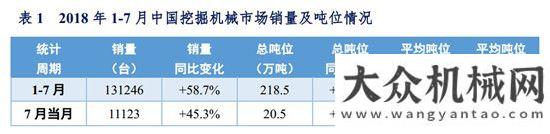 家發(fā)展現(xiàn)狀2018年1-7月挖掘機(jī)械市場銷量分析全球高