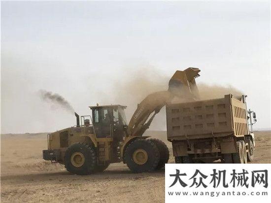 獲千萬大單24小時(shí)不停機(jī)！看國內(nèi)最大噸位裝載機(jī)徐工LW1200KN征戰(zhàn)蒙古戈壁！徐工裝