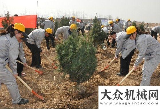 區(qū)多個獎項山東臨工參加“獻出一片綠，共建森林城”植樹節(jié)活動山重建