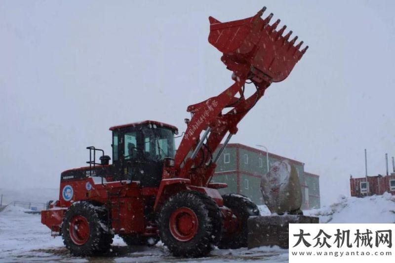 口碑車型獎廈工：圖片直擊！你是南極冰天雪地中那一抹最閃亮的光輕量化