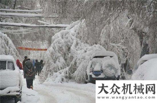 實行業(yè)地位極限工況 強悍設(shè)備：柳工“除雪神器”紅星機