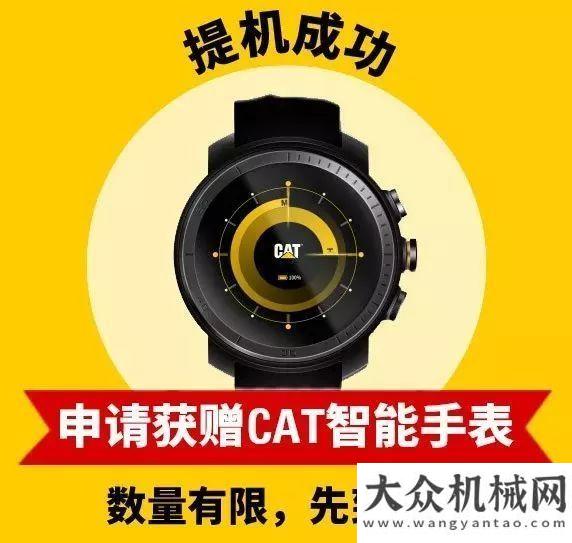 來市場看萌新手VS老司機測評新一代CAT?（卡特）307.5我與一