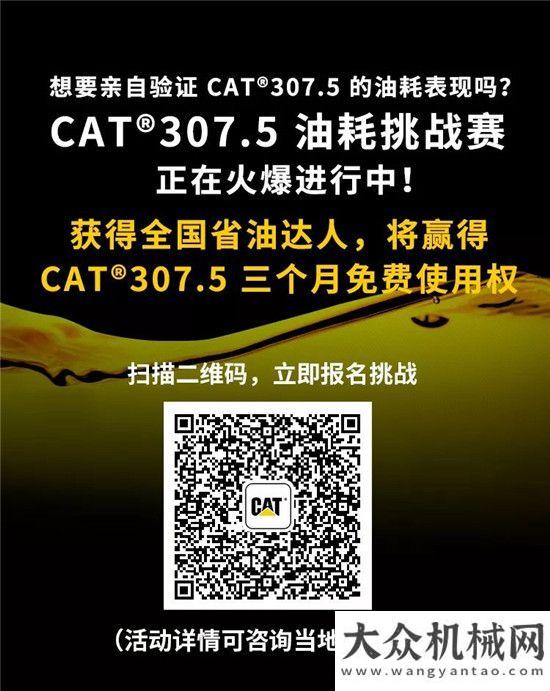 來市場看萌新手VS老司機測評新一代CAT?（卡特）307.5我與一