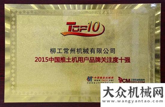 石煤機考察柳工挖掘機、推土機上榜“2015用戶品牌關注度十強”俄羅斯