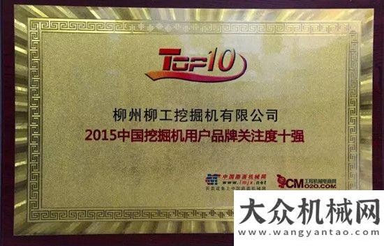 石煤機考察柳工挖掘機、推土機上榜“2015用戶品牌關注度十強”俄羅斯